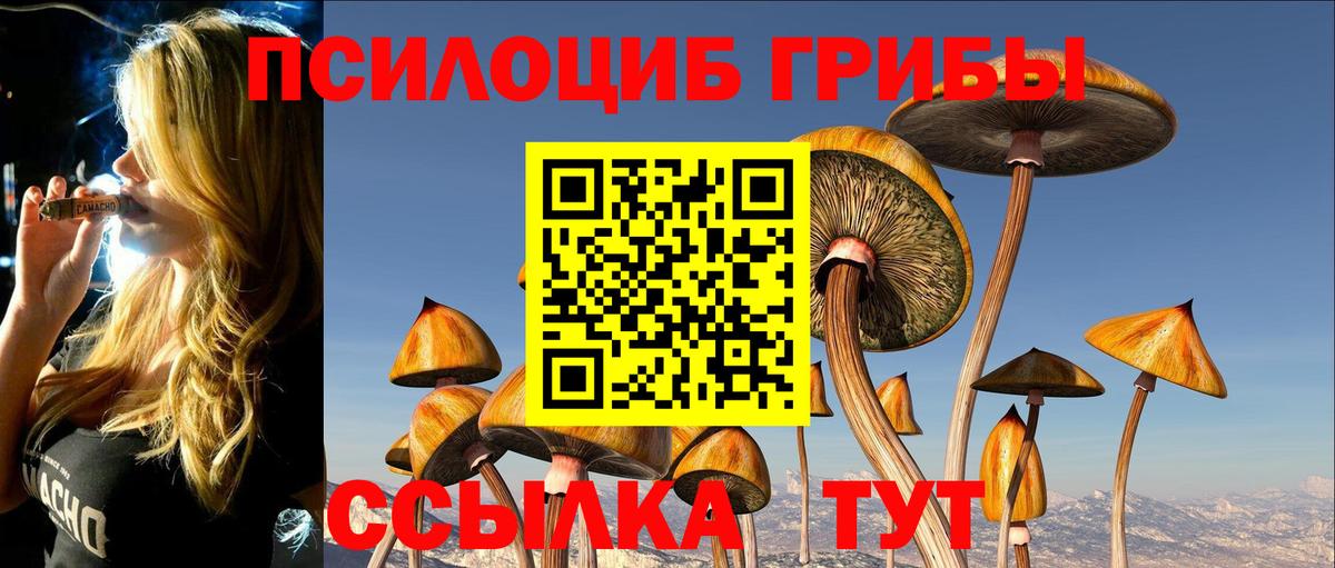 Псилоцибиновые грибы MAGIC MUSHROOMS Воронеж